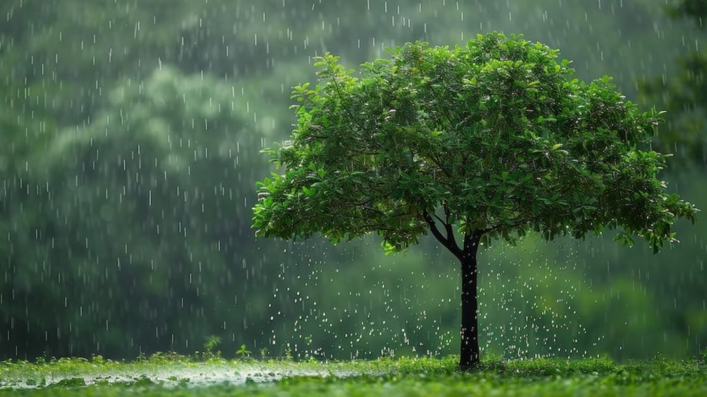 கேரளாவில் வரும் 5 ஆம் தேதிவரை கனமழை எச்சரிக்கை Rain