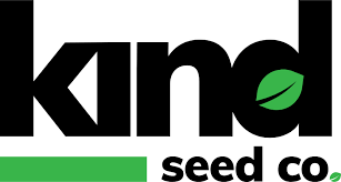 Everything You Need to Know About Marijuana Seeds NJ 0 Everything You Need to Know About Marijuana Seeds NJ 0
